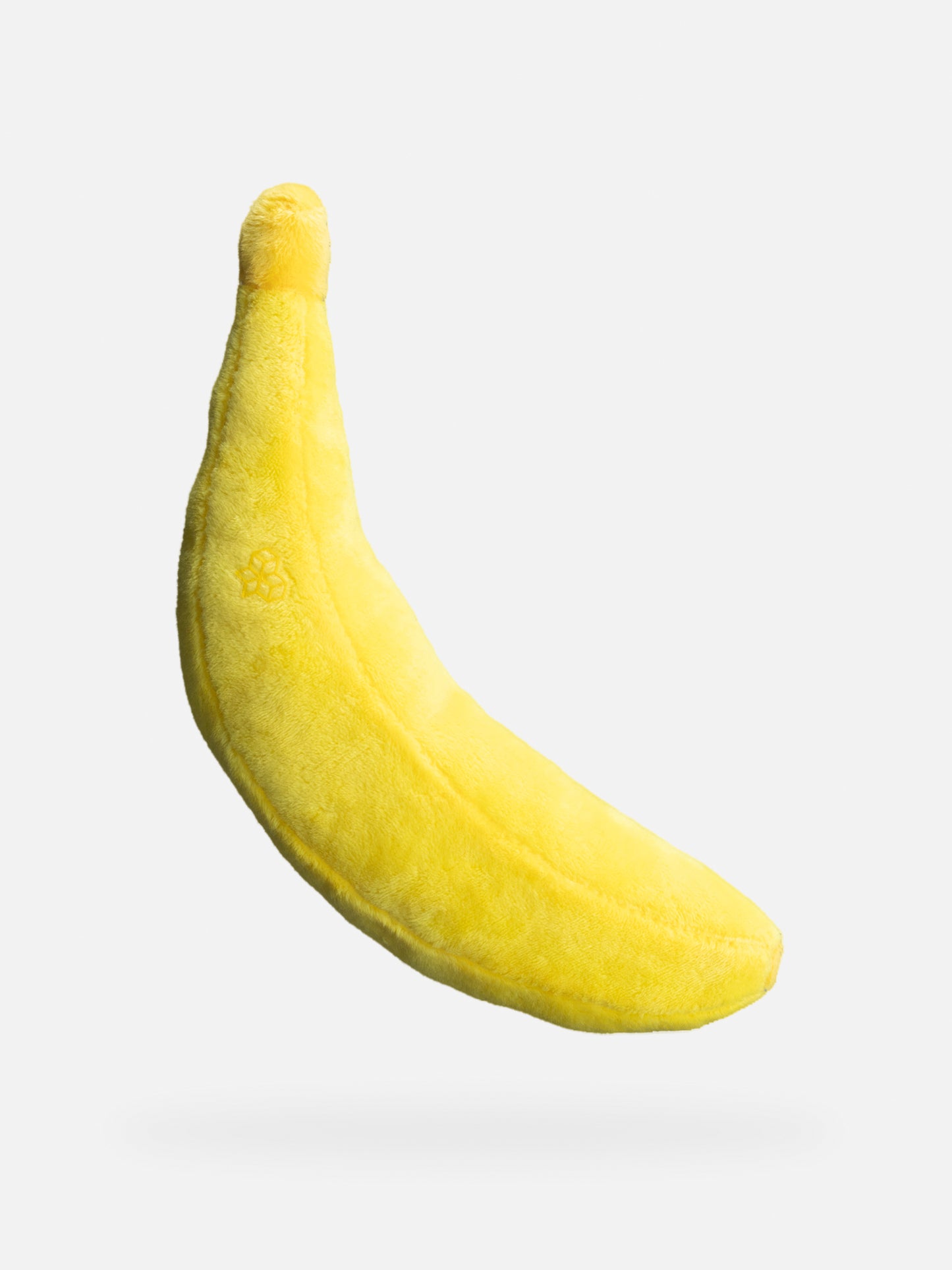 Banana for Scale